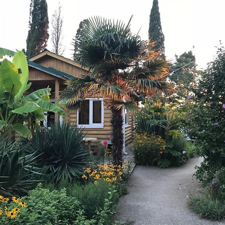Гостевой Дом "Сария" Hotel Alakhadzi Exterior photo