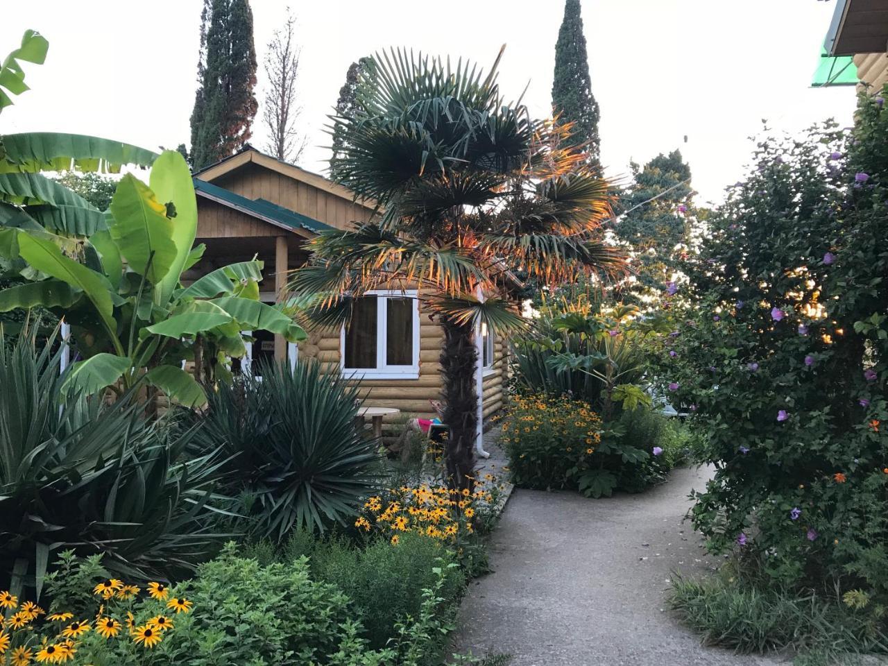 Гостевой Дом "Сария" Hotel Alakhadzi Exterior photo