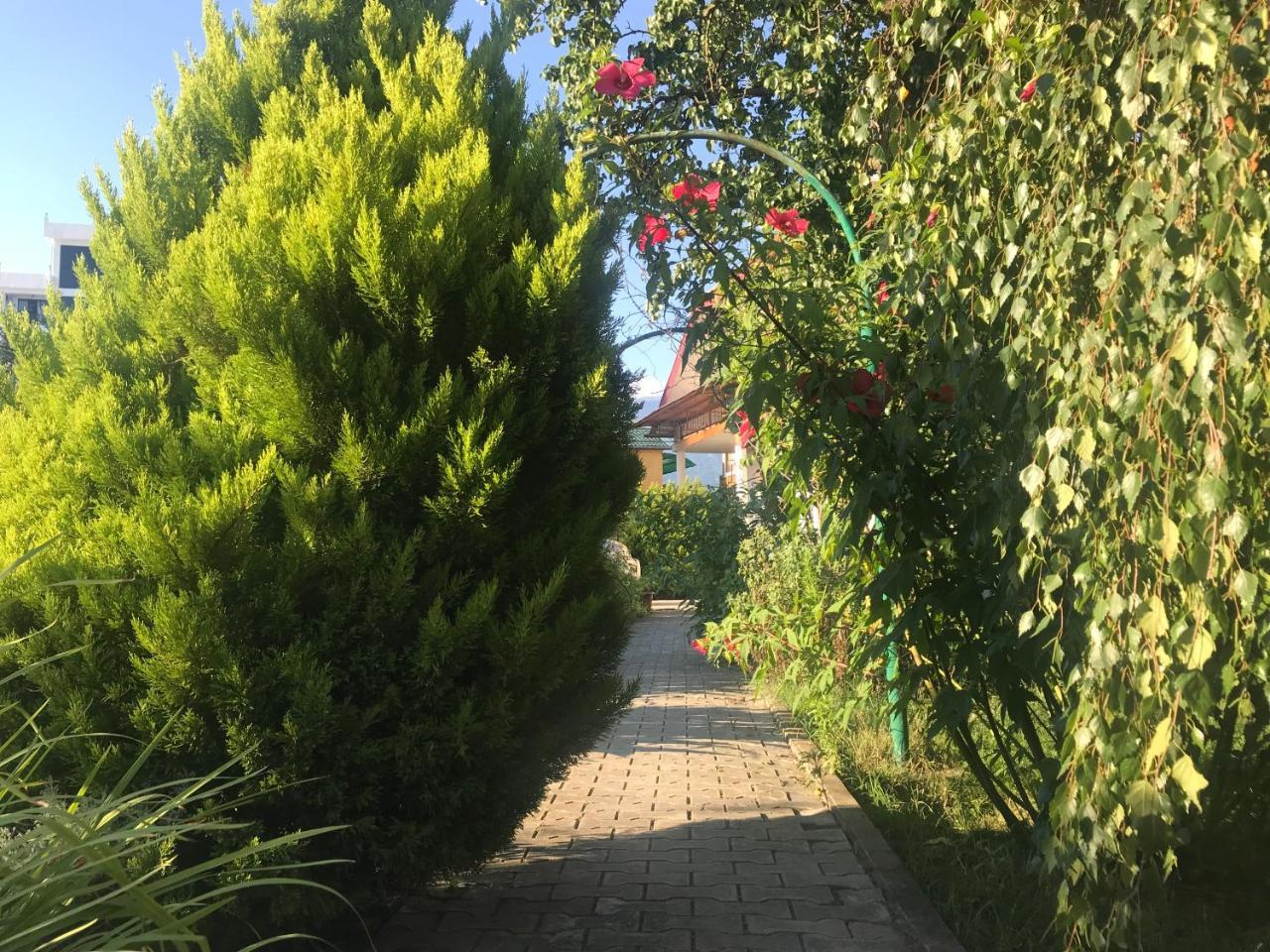Гостевой Дом "Сария" Hotel Alakhadzi Exterior photo
